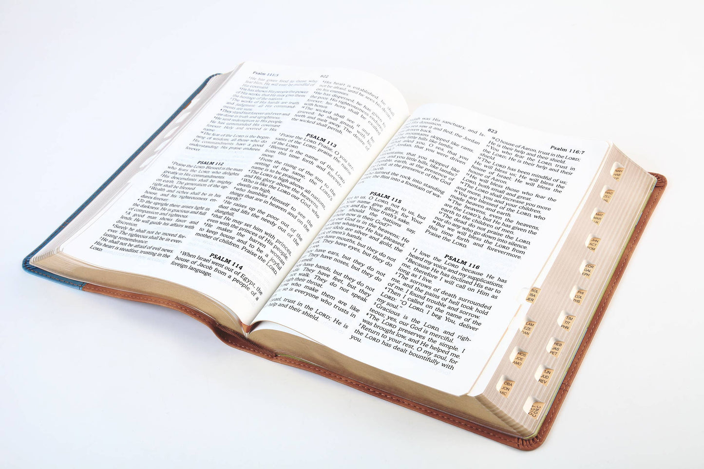 The Barbour Simplified KJV--Large Print [Rust & Stone Cross]