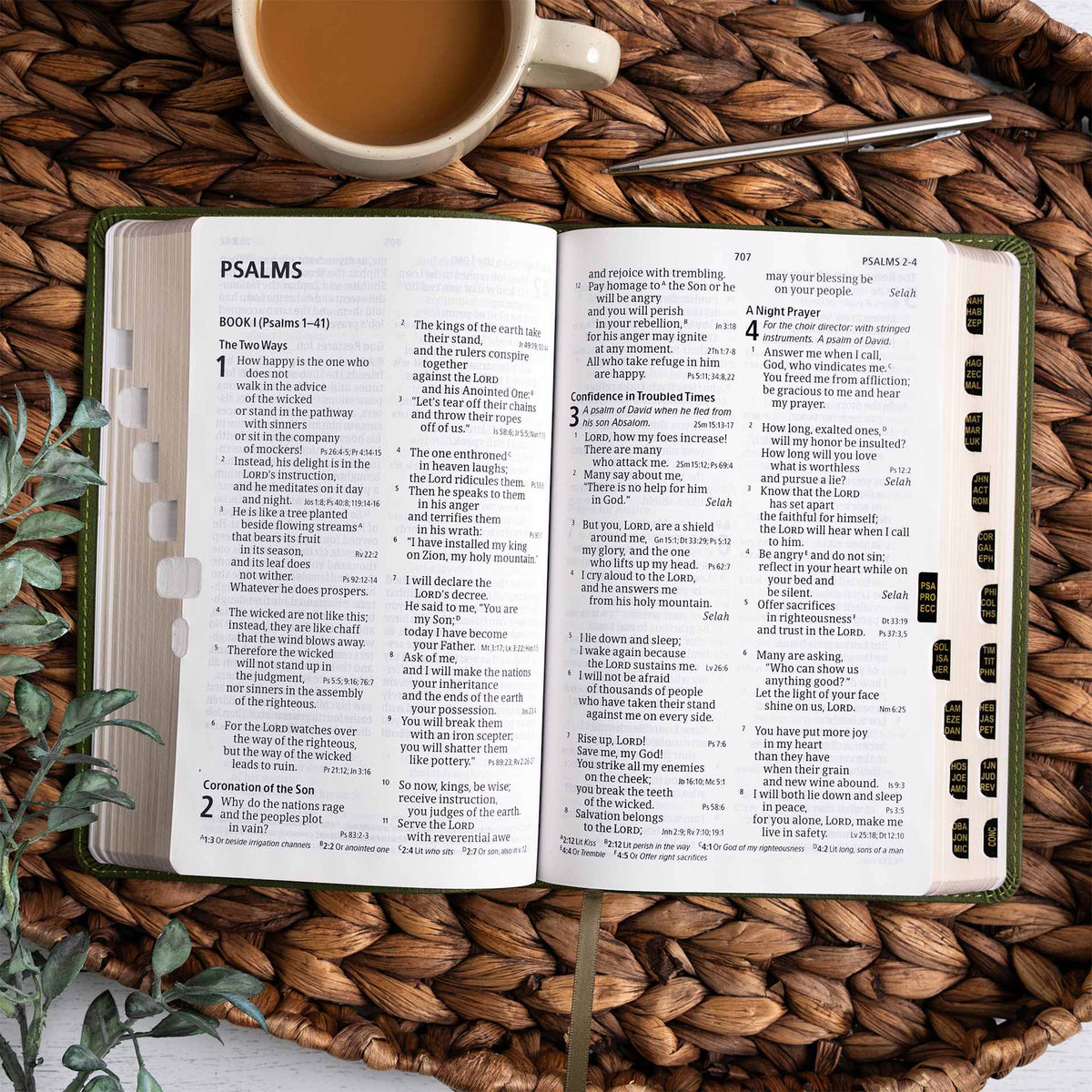 CSB Large Print Reference Bible, Olive LeatherTouch, Indexed