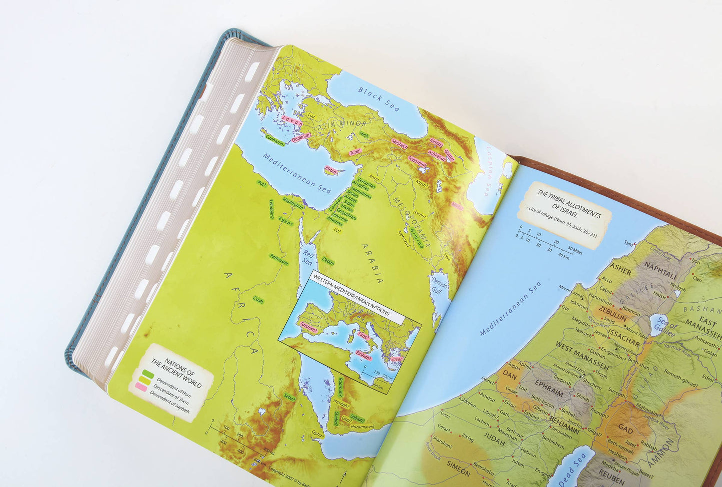 The Barbour Simplified KJV--Large Print [Rust & Stone Cross]