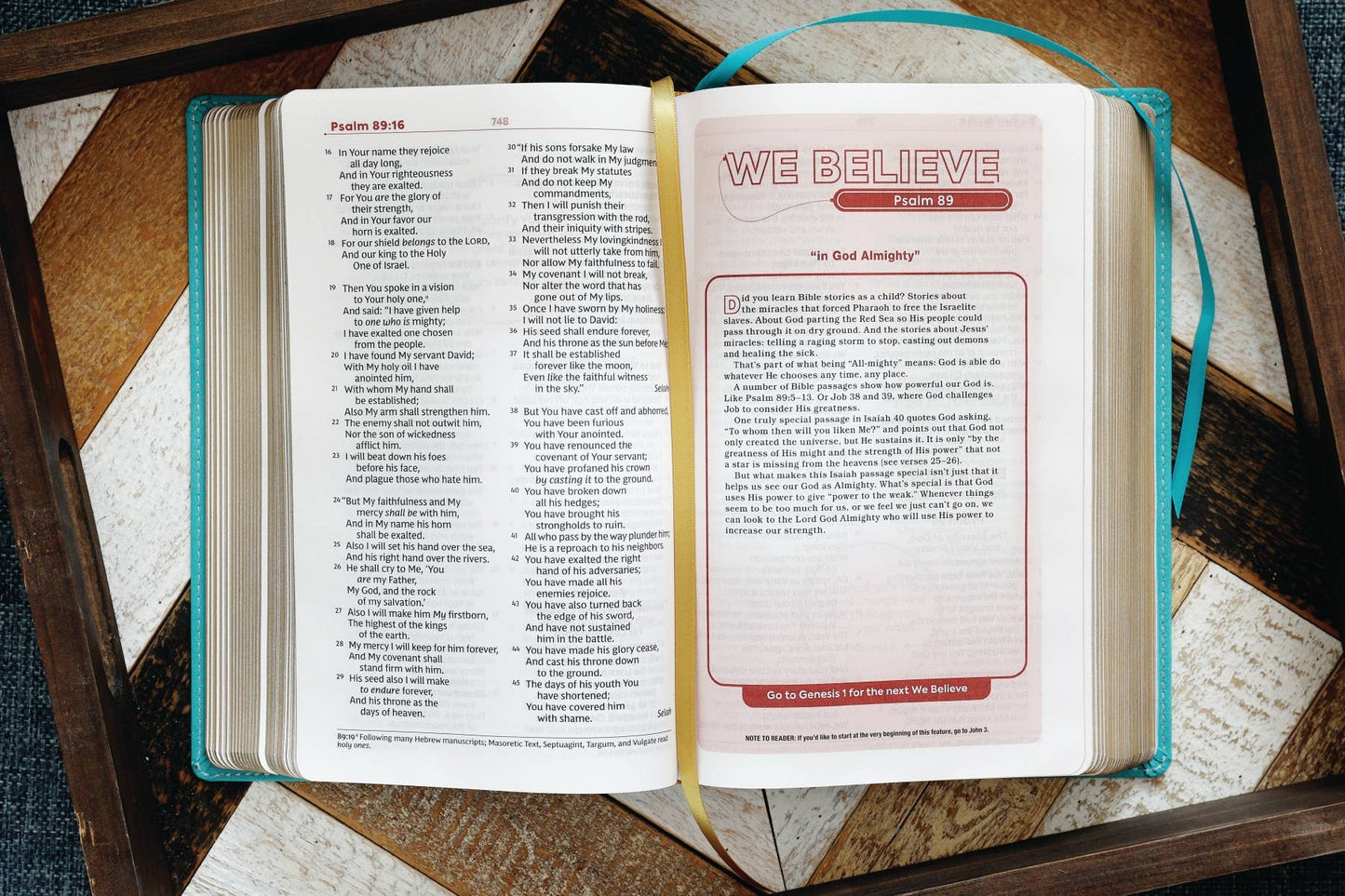 Nkjv, Teen Study Bible