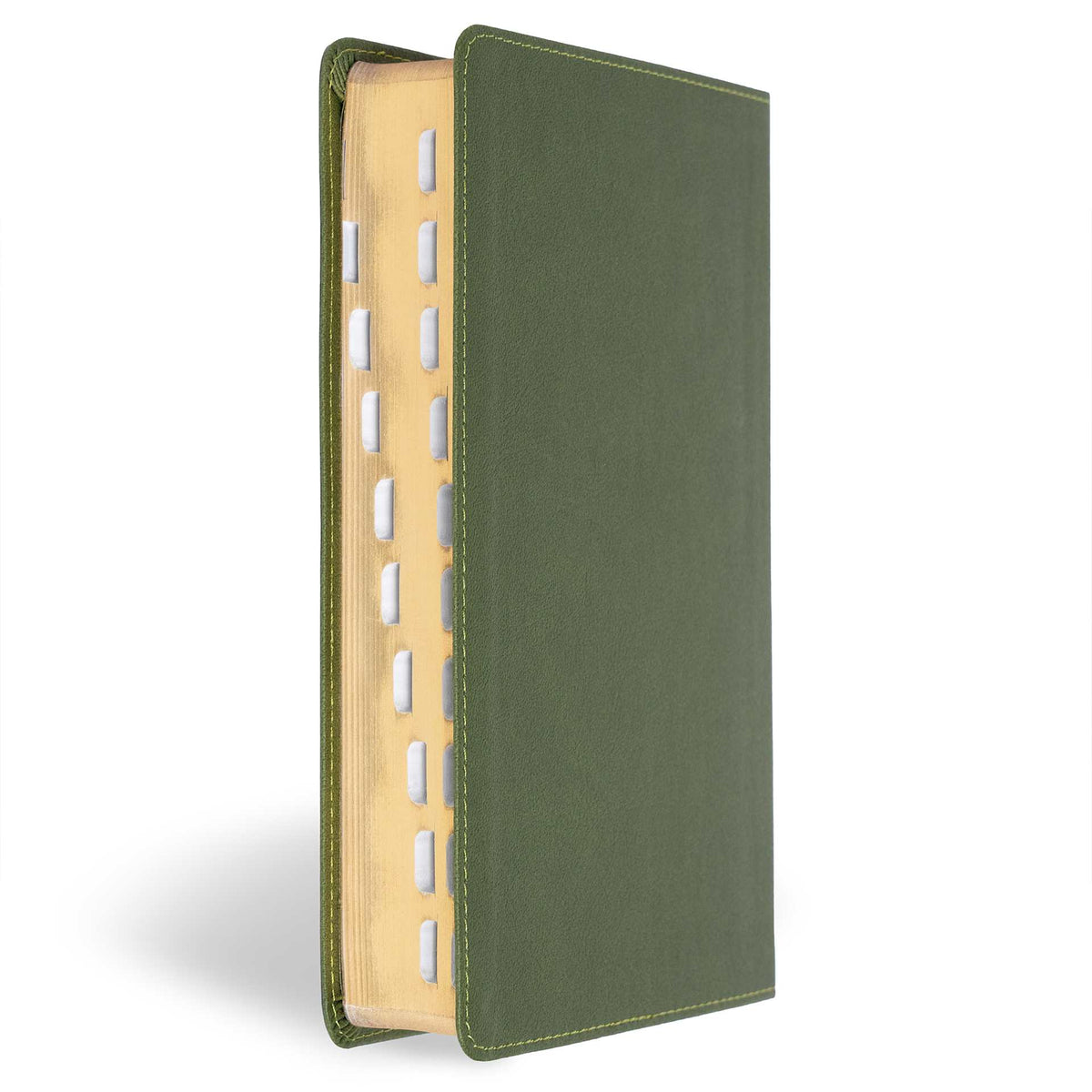 CSB Large Print Reference Bible, Olive LeatherTouch, Indexed