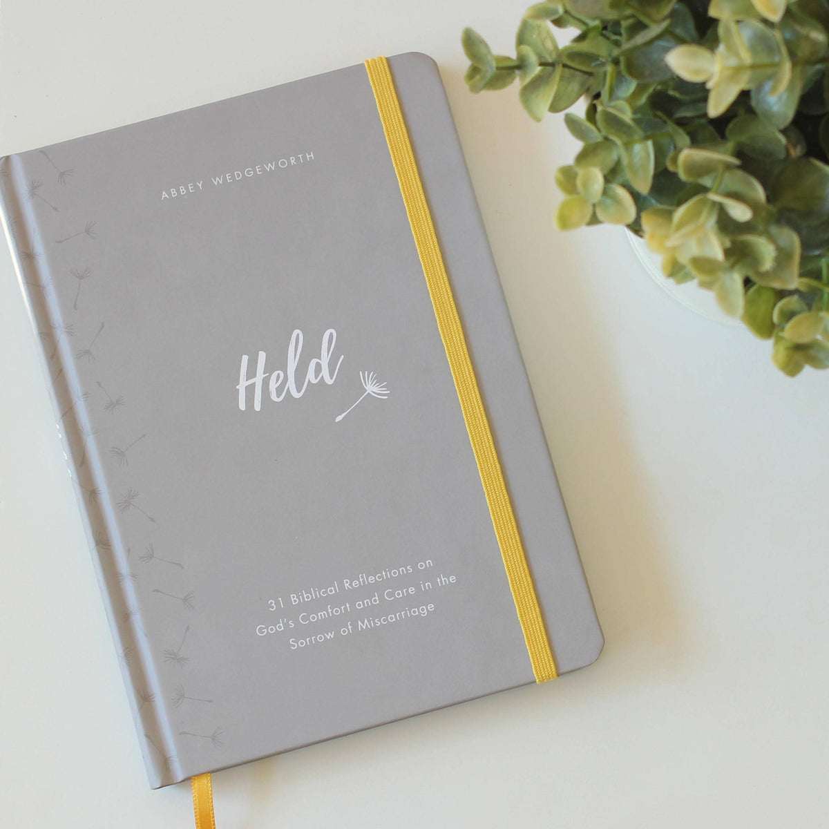 Held: 31 Biblical Reflections on God's Comfort and Care