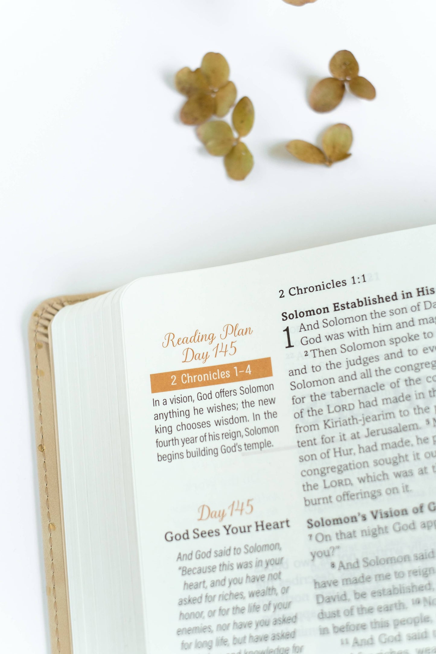 Mustard Seed Faith Devotional Bible—SKJV [Beige Polka Dots]iuybmnv<BV>