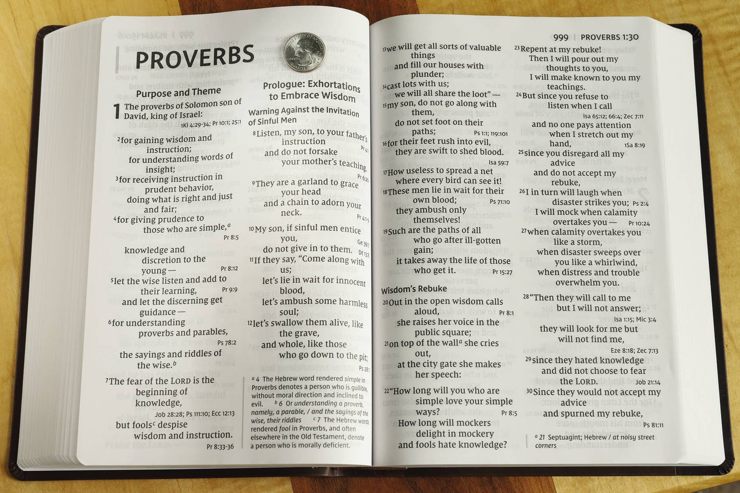 NIV, Super Giant Print Reference Bible