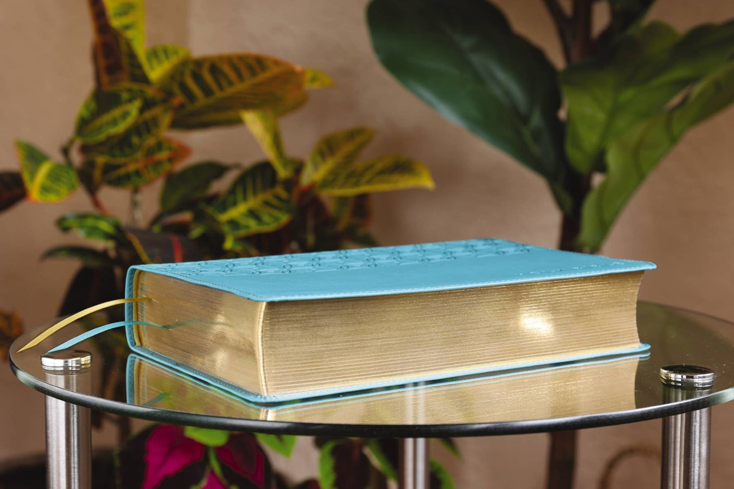 Nkjv, Teen Study Bible