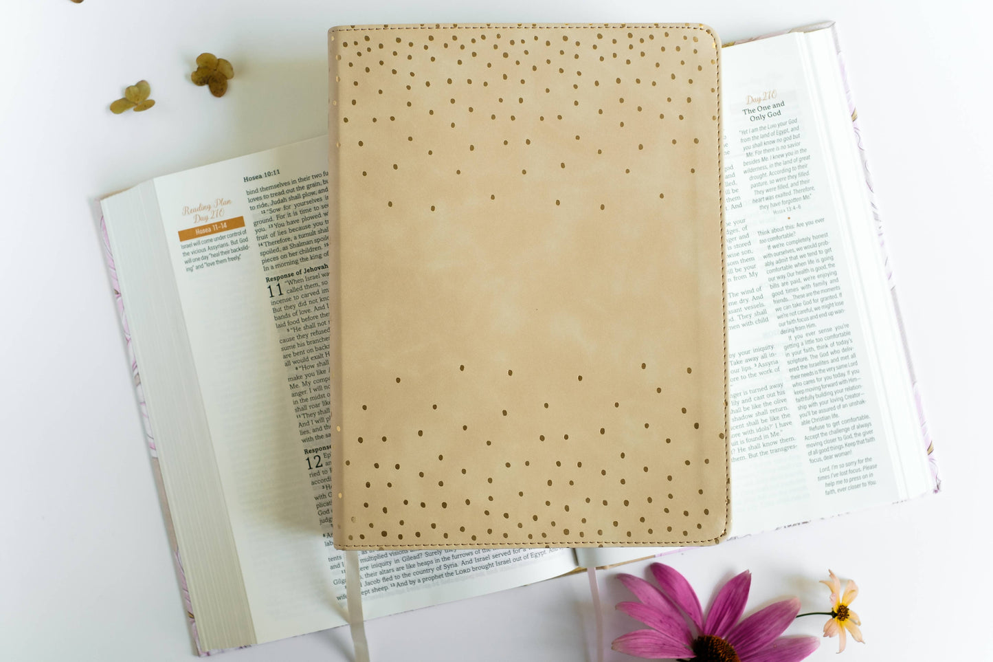 Mustard Seed Faith Devotional Bible—SKJV [Beige Polka Dots]iuybmnv<BV>
